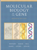 Molecular Biology of the Gene